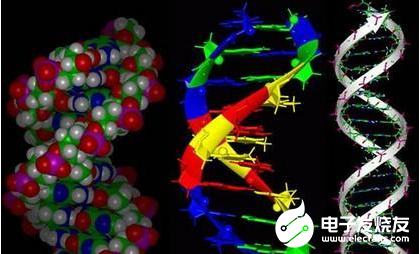 PVDF壓電傳感器將心音振動信號轉(zhuǎn)換為微弱電信號