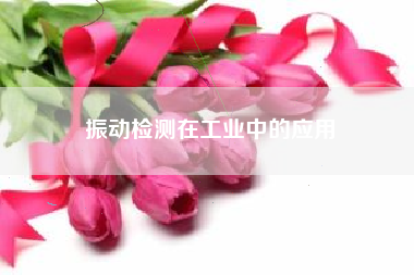 振動檢測在工業中的應用