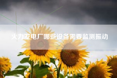 火力發(fā)電廠哪些設(shè)備需要監(jiān)測振動(dòng)