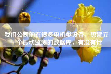 我們公司的有很多電機(jī)類設(shè)備，想建立一個(gè)振動(dòng)監(jiān)測的數(shù)據(jù)庫，有沒有什