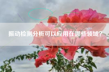 振動(dòng)檢測分析可以應(yīng)用在哪些領(lǐng)域？