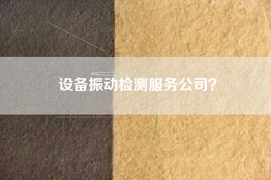 設備振動檢測服務公司？