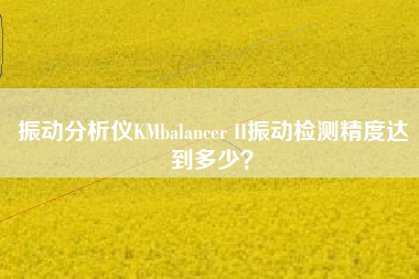振動分析儀KMbalancer II振動檢測精度達到多少？
