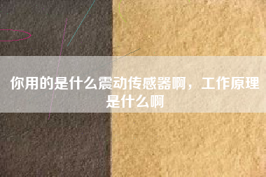 你用的是什么震動(dòng)傳感器啊，工作原理是什么啊
