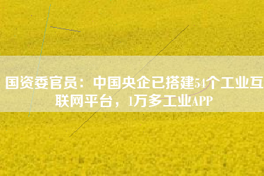 國資委官員：中國央企已搭建54個工業互聯網平臺，1萬多工業APP