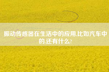 振動傳感器在生活中的應用,比如汽車中的.還有什么?