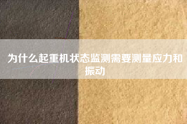 為什么起重機(jī)狀態(tài)監(jiān)測需要測量應(yīng)力和振動(dòng)